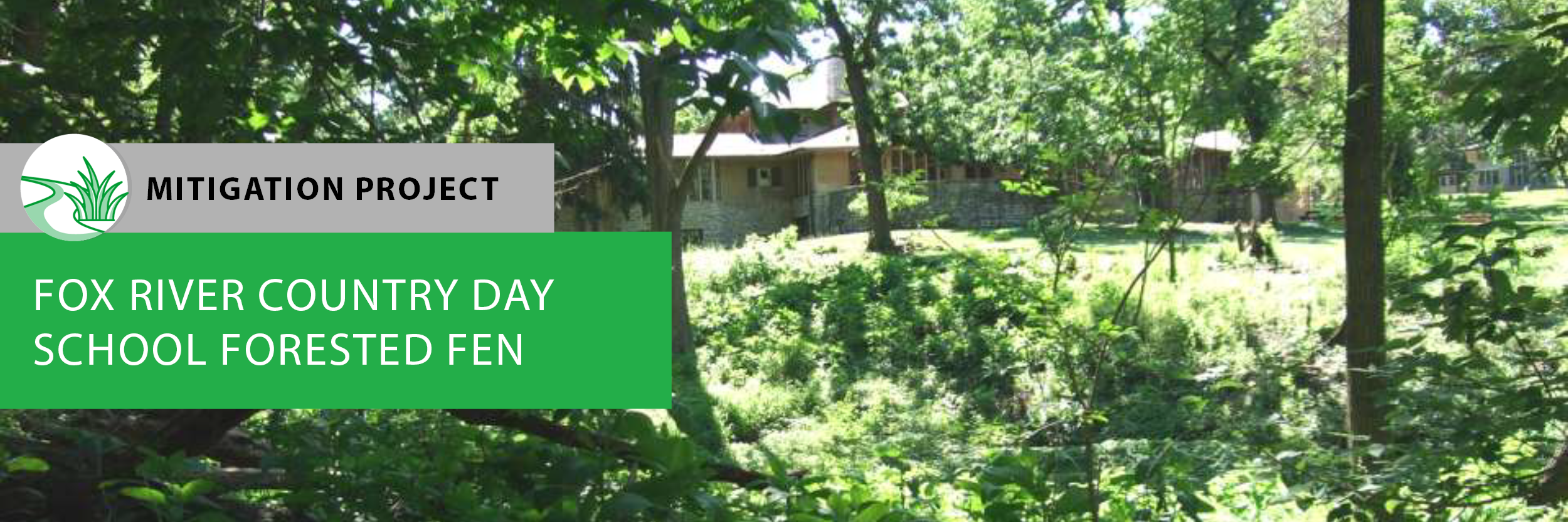 Fox River Country Day School Forested Fen